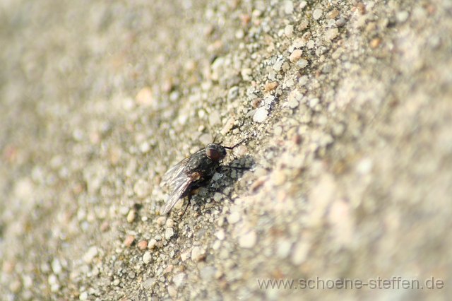 IMG_0119.JPG