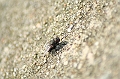 IMG_0119