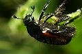IMG_0512