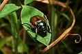IMG_0544